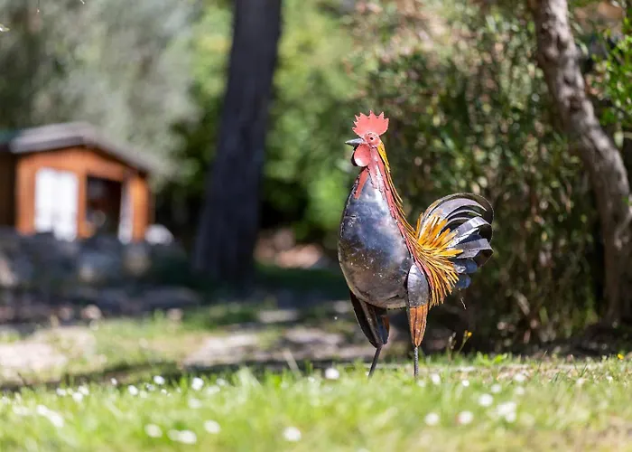 Casa Il Cipresso, In The Heart Of Chianti With Swimming Pool